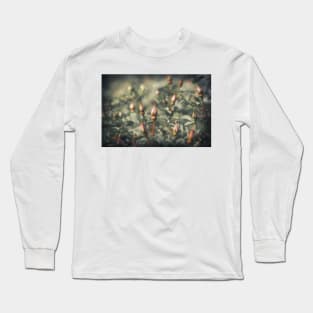 Unblown Rose Bush Long Sleeve T-Shirt